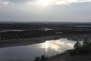 夕阳下的宁静河畔风光