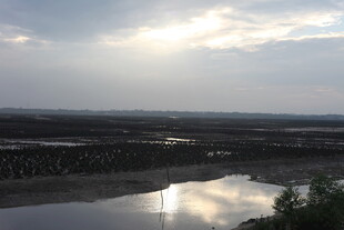 黄昏下的宁静水域景观
