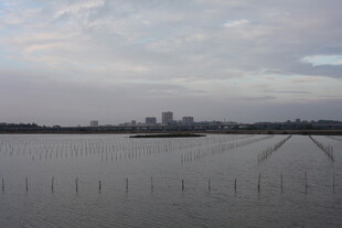 湖畔城市远景 宁静风光
