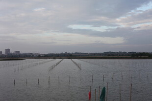 湖畔风光 宁静开阔水域