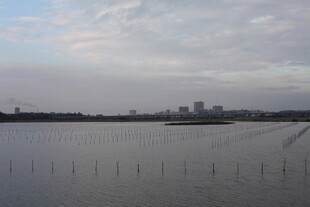 湖畔远景 宁静自然风光