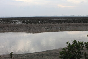 湖畔独行者的静谧时刻