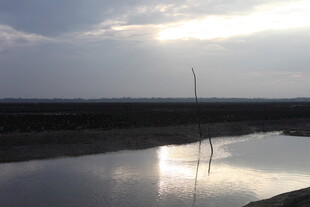 夕阳下的静谧水面
