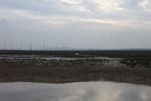 湿地风光 水面映着天际