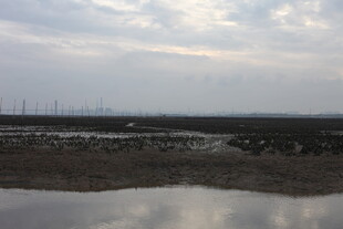 黄昏下的湿地景观