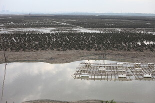 水上养殖场景俯瞰