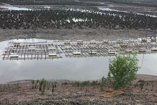 宁静湖畔的水上码头景观