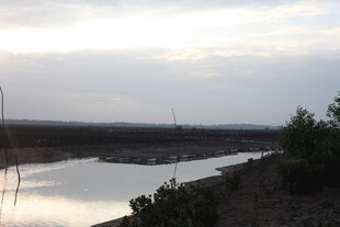 黄昏下宁静的河畔风光