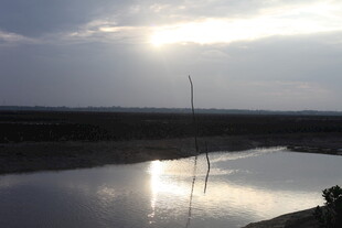 夕阳下平静水面的美丽倒影