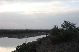 河畔风光 自然景致初览