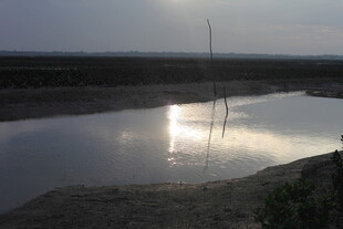 夕阳下静谧的水面与孤舟