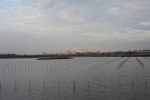 黄昏下的宁静水域景观