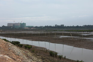 湿地景观 水域与围栏景象