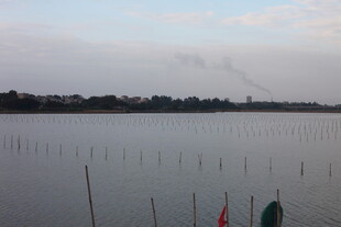 湖畔风光 水面与远处景致