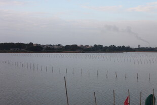 宁静水域旁的围栏景观