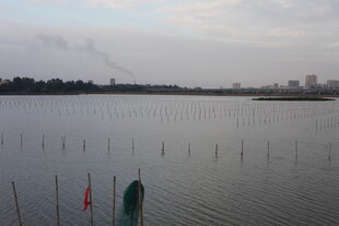 湖畔水域风光与简易设施