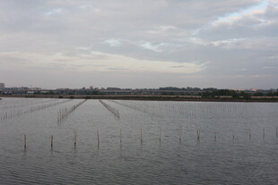 水域中的整齐排列设施