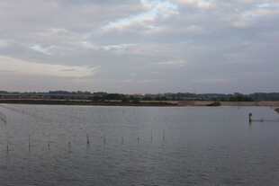 宁静水域与远处天际线