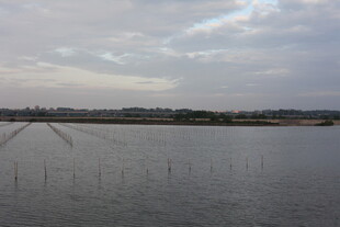 水域上的防护设施景观