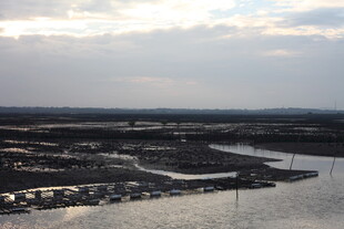 河畔城镇鸟瞰图