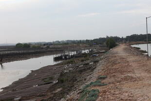 湛江生蚝养殖区