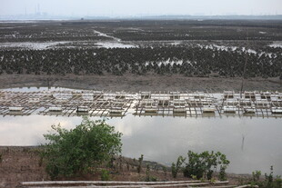 湖畔船只停泊风景图