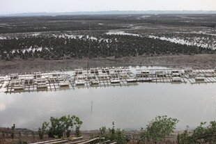 湖畔停泊的船只景观