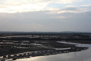 城市天际线与河流景观