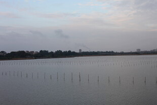 湖畔暮色中的宁静水域