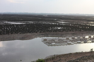 干旱地区的干涸水域景观