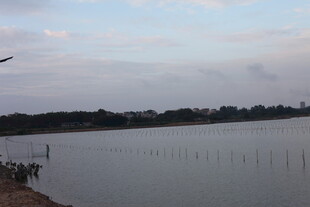 湖畔黄昏景静谧自然美