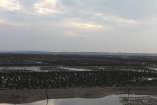 湿地风光自然景色迷人