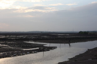 黄昏下的湿地河道景观