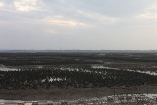 冬日广袤原野景观