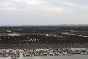 俯瞰冬日城郊景观