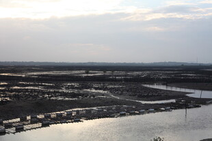 河畔城市景观俯瞰