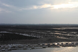 黄昏下的广袤湿地景观