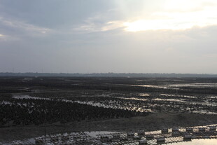 俯瞰城市与开阔田野景观