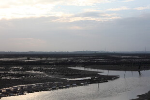 黄昏下的湿地河流景观