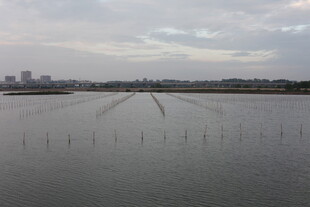 湖畔城市风光远景