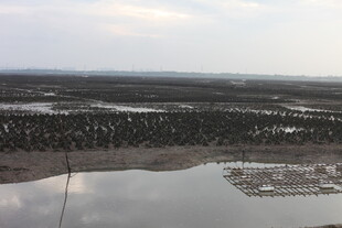 俯瞰广袤水域与岸边景致