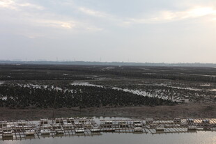 俯瞰广袤湿地景观