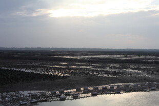 俯瞰城郊湿地景观