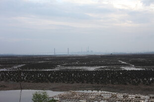 广阔田野与远处输电塔景观