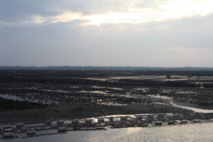 黄昏下的湿地景观