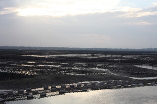 俯瞰水域旁的建筑景观