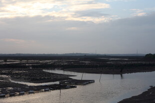 黄昏下的河畔湿地景观