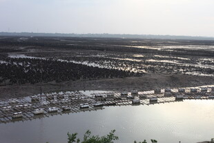 俯瞰水域旁的建筑景观