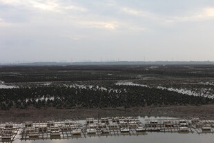 俯瞰广袤原野与稀疏建筑