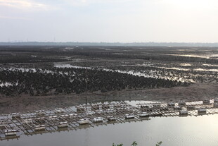 俯瞰滨水城镇景观